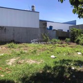 Kẹt tiền cần bán gấp lô cặp 100m2 Tân Đức, tiện kinh doanh buôn bán, SHR, giá 1tỷ3