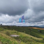 Sở hữu đất nông nghiệp 650m² gần Trạm Mây Glamping - Giá cực hấp dẫn 3 tỷ