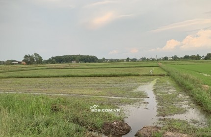 2.5 Tỷ, 2257m2 đất lúa tại Đức Hòa Thượng, Đức Hòa, Long An, sổ có đường, lên thổ được, cách đường 823D chỉ 750m