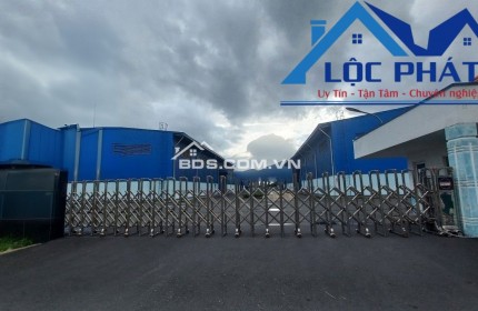 Cho thuê xưởng KCN Mỹ Xuân 25.000 m2 chỉ 75.000đ/m2