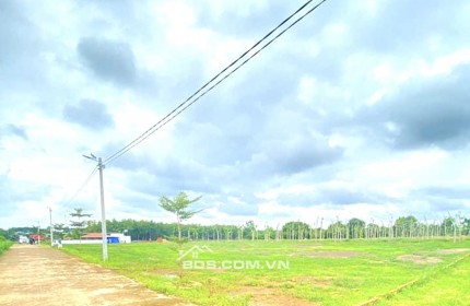 BÁN 3 SÀO 38X88=3320M2, GIÁ 768TR, GẦN KCN CÔNG NGHỆ CAO, ĐÔNG ĐÚC DÂN CƯ, VTRI ĐẮC ĐỊA