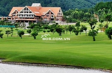 Bán đất biệt thự Sân golf Tam Đảo có nhiều cây thông nhiều năm tuổi