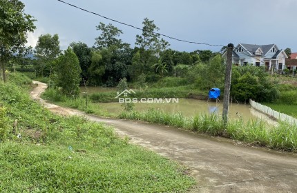 Bán đất Sóc Sơn, 247m, mặt tiền thênh thang, ô tô vèo vèo - THÙY SÓC SƠN