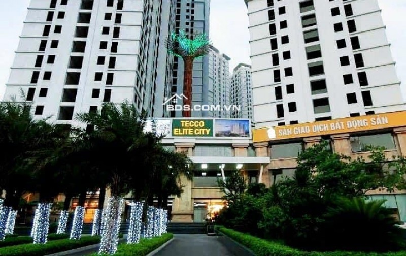 Quỹ căn, tầng đẹp trực tiếp từ CĐT giá chỉ từ 1,4 tỷ tại Tecco Elite - Nhận thuê lại 8tr3 - 10tr2
