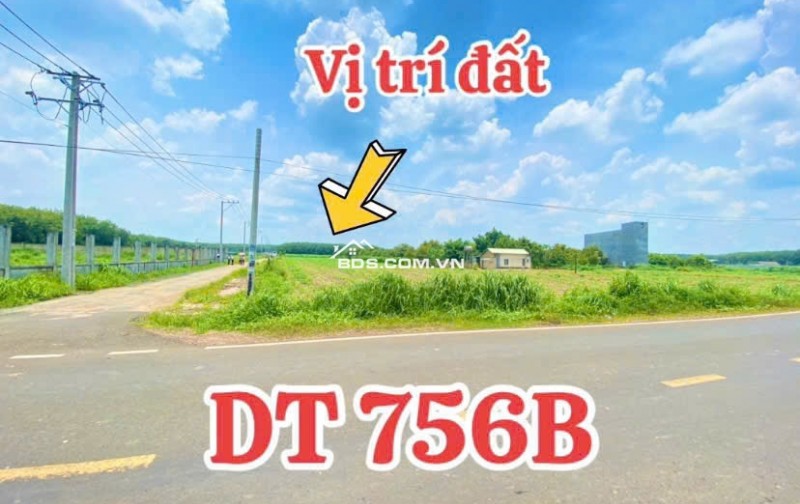 Đảm bảo tiến độ, chất lượng dự án đường cao tốc Gia Nghĩa - Chơn Thành