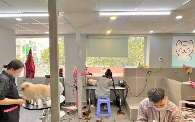 SANG PET SHOP ĐANG HOẠT ĐỘNG TỐT, LƯỢNG KHÁCH ỔN ĐỊNH, KHU TRUNG TÂM KINH DOANH SẦM UẤT QUẬN 6 , HCM