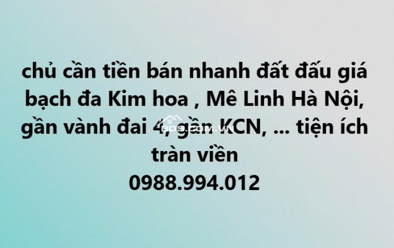 Bán đất đấu giá Bạch Đa, Kim Hoa, Mê Linh, Hà Nội giáp Vành Đai 4. cam kết bán đúng giá chủ thu