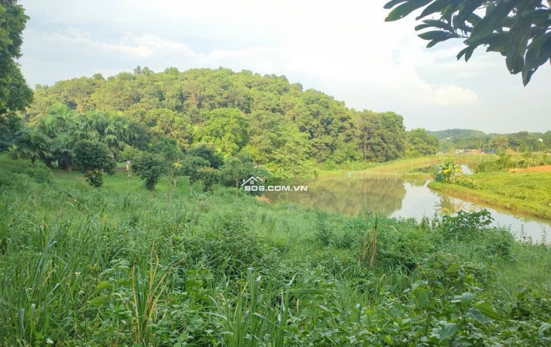 Mảnh đất thổ cư yên bài ba vì đường bê tông cách đường tỉnh lộ 87 2km