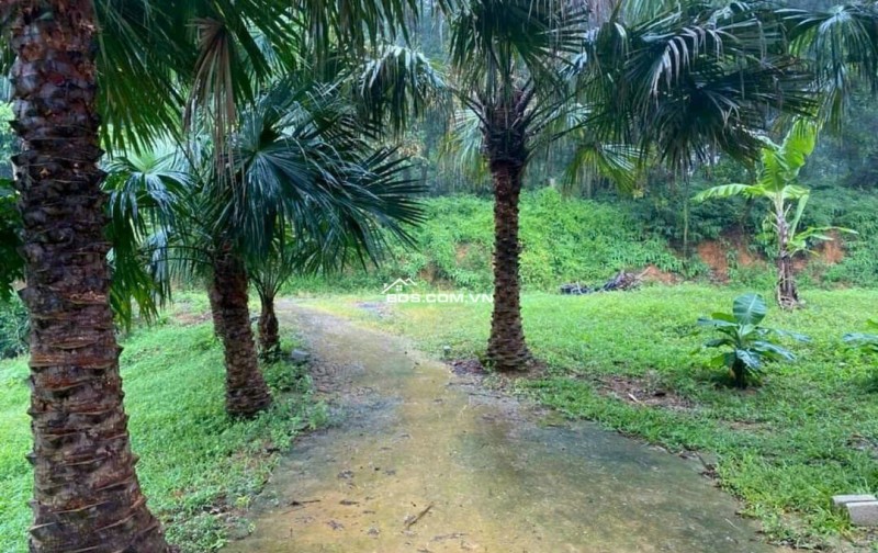 Mảnh đất thổ cư yên bài ba vì đường bê tông cách đường tỉnh lộ 87 2km