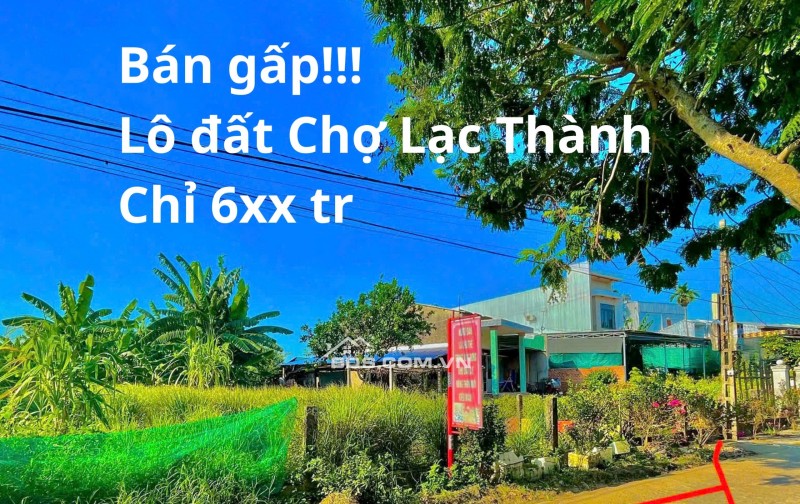 [GẤP] CẦN TIỀN LO VIỆC CHO CON TRAI: BÁN GẤP ĐẤT TẠI TX.ĐIỆN BÀN ĐỂ LẤY TIỀN GẤP!