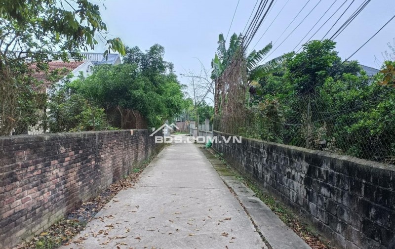 Bán Đất Đông Tảo, Hưng Yên . 3400M x MT 67M Đầu Tư , Ô Tô . Nhỉnh 17TR/M .