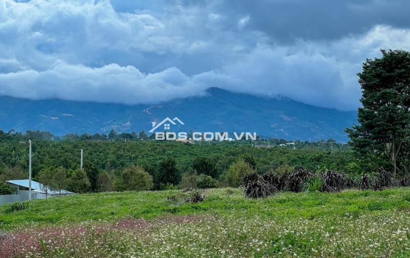 400 TRIỆU 1 LÔ DUY NHẤT - SĂN MÂY TẠI BẢO LỘC