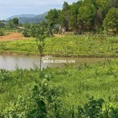 4989 m2 VỊ TRÍ ĐẸP - CÓ THƯƠNG LƯỢNG MIỄN TRUNG GIAN - YÊN BÀI -BA VÌ - HÀ NỘI