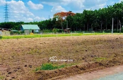 Bán đất khu phố Minh Thành-Chơn Thành 490triệu 500m2