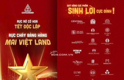 DÃY NHÀ LIỀN KỀ - NHÀ PHỐ TẠI DỰ ÁN SUN URBAN CITY HÀ NAM.