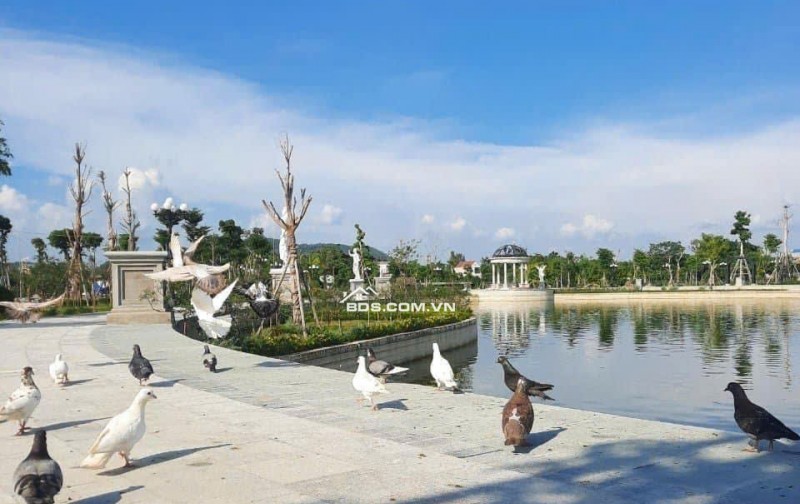 Bán khu liền kề KĐT Danko City Thái Nguyên – giá ưu đãi chỉ từ 2 tỷ/lô