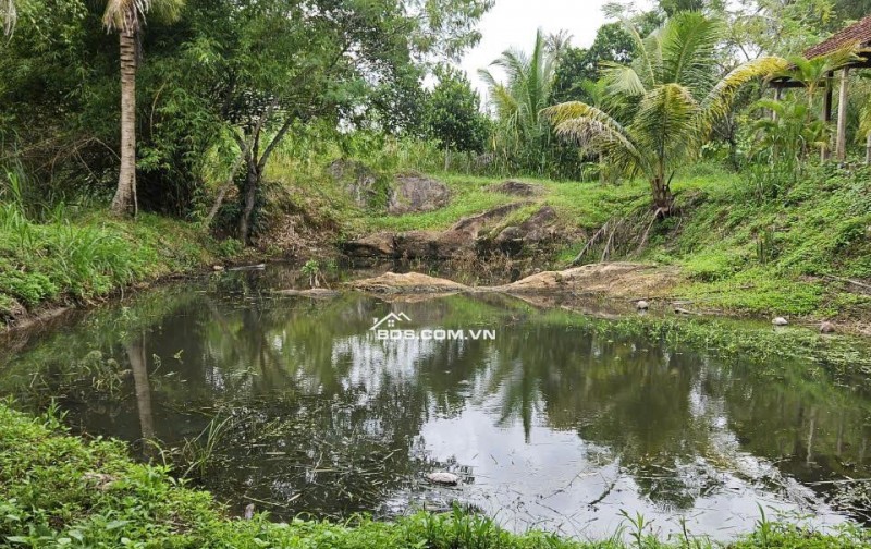 View suối đẹp mê ly tại Đăk Lak. 68m suối giá yêu thương