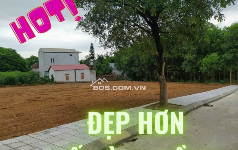 Bán Đất Thổ Cư Xã Cộng Hòa, Quốc Oai, Hà Nội – Lô Đất Lý Tưởng Xây Homestay Nghỉ Dưỡng