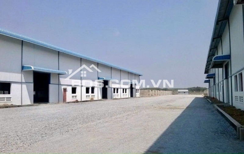 CẦN TIỀN BÁN 1.040M2 ĐẤT SHR NGAY KCN ĐÔNG CÔNG NHÂN, GẦN TRƯỜNG HỌC, CHỢ CÓ THỂ CHO THUÊ MẶT BẰNG. GIÁ 150TR