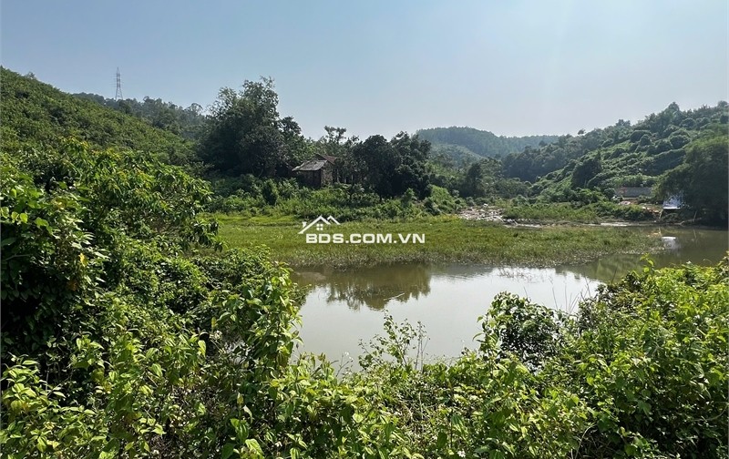 Cần bán đất đồi làm Homestay, kinh doanh dịch vụ du lịch, diện tích 1,3ha giá 1,5 tỷ.