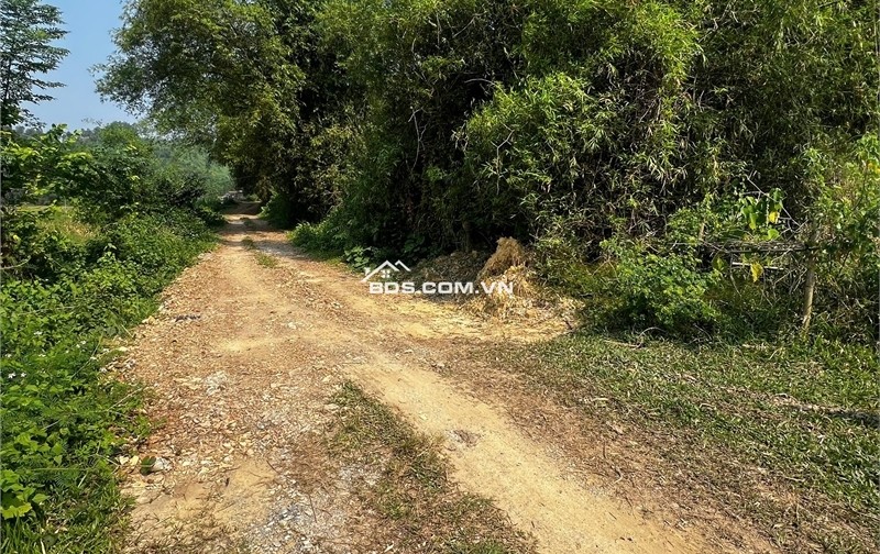 Cần bán đất đồi làm Homestay, kinh doanh dịch vụ du lịch, diện tích 1,3ha giá 1,5 tỷ.