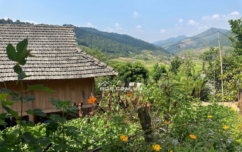 Lô đất Mộc Châu siêu phẩm phù hợp làm Homestay, coffee check in,nghỉ dưỡng