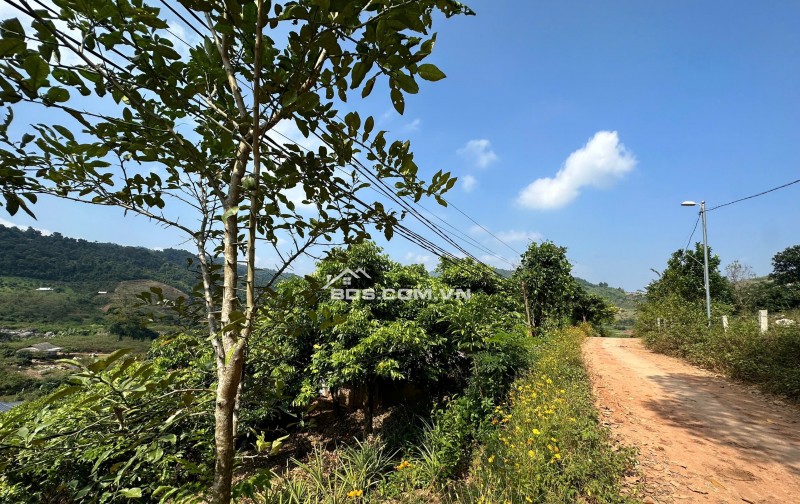 Lô đất Mộc Châu siêu phẩm phù hợp làm Homestay, coffee check in,nghỉ dưỡng