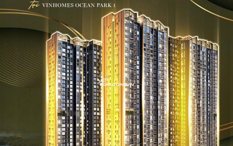 LÝ DO SENIQUE CAPITAL LAND  TRONG QKDT OCEAN PARK XỨNG ĐÁNG LÀ SẢN PHẨM ĐỂ Ở VÀ ĐẦU TƯ