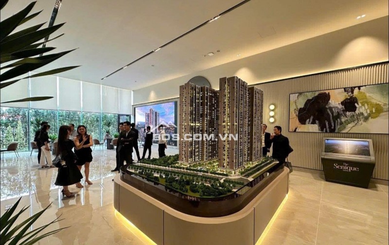 LÝ DO SENIQUE CAPITAL LAND  TRONG QKDT OCEAN PARK XỨNG ĐÁNG LÀ SẢN PHẨM ĐỂ Ở VÀ ĐẦU TƯ