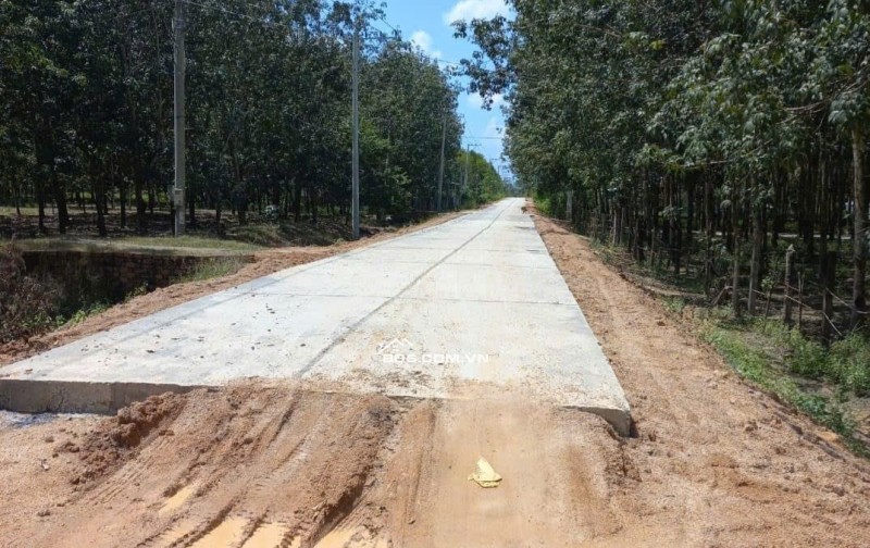 Bán đất giá 32 tỷ 2,3Ha  tại Xã Gia Huynh, Tánh Linh, Bình Thuận