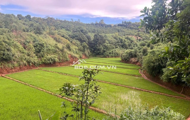 Bán Đất làm Homestay, Farmstay