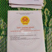 ĐẤT CHÍNH CHỦ - GIÁ TỐT - Vị Trí Đẹp Tại Xã Sen Phương, Huyện Phúc Thọ, Thành phố Hà Nội