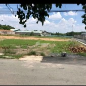 Chính chủ cần bán gấp 1000m2 đất tại Bình Dương