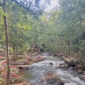 Đất nền Đà Lạt bán cắt lỗ, vị trí đẹp, phù hợp làm nhà kính, Homestay cho thuê.