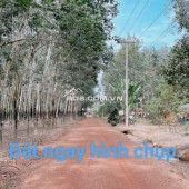 Chính chủ cần bán 8000m2 đất CLN tại Bắc Tân Uyên, Bình Dương