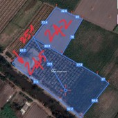 Bán đất MT Kênh Bình Đức, Bến Lức 16000m2 SHR 14 tỷ. Lh:0909999155.