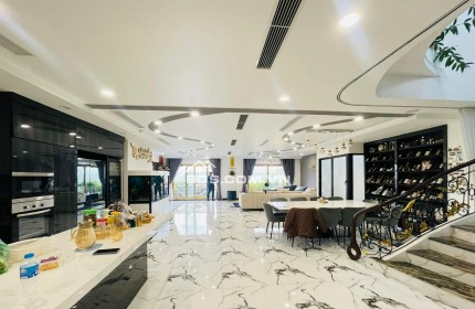 ✨ Penthouse đẳng cấp thượng lưu - dòng tiền vào túi nhiều vô kể