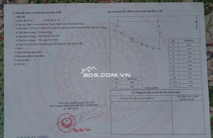 BÁN ĐẤT CAO SU 3HA – THÔN 1, XÃ GIA HUỲNH, HUYỆN TÁNH LINH, BÌNH THUẬN