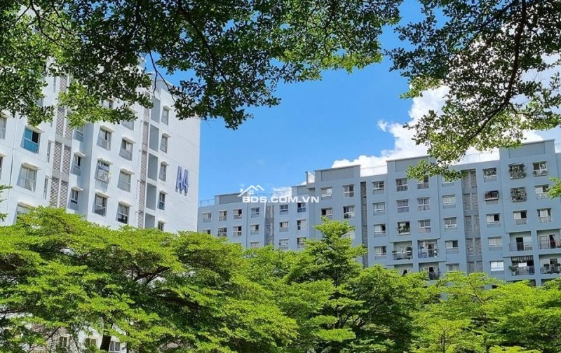 Cho thuê Căn hộ Ehome3 2PN, 65m2, nhà thoáng  không khí đẹp, lh0902399788