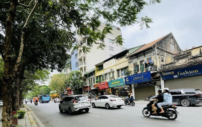 ⚜️ Đất vàng Mặt phố Nguyễn Thái Học, Ba Đình 248m2 MT 7m, Xây được 10 tầng, Chỉ 148 Tỷ ⚜️