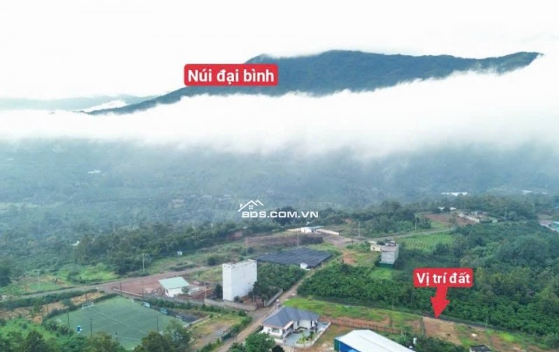 Lô đất cạnh bên Resort Lá Đỏ view săn mây núi đại bình - gần 500m2 sẵn 200m thổ cư mặt tiền tận 14m