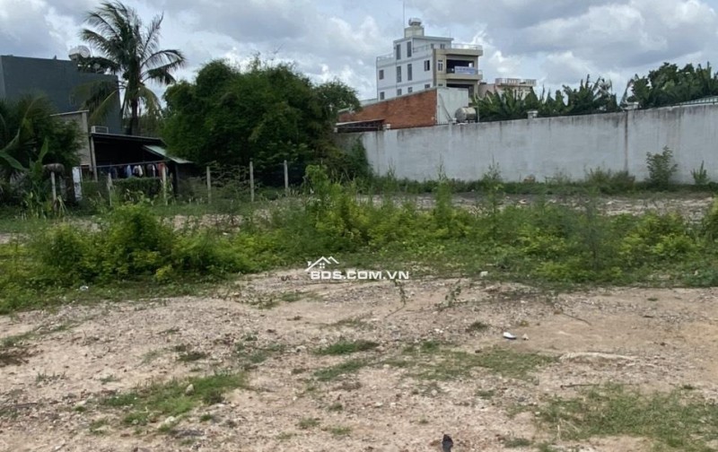 Đất full thổ cư 893m², 2 MT Xuân Thới Thượng 26, Hóc Môn, giá 23.5 tỷ, sổ riêng chính chủ.