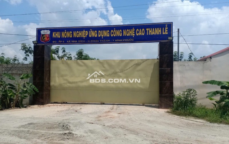 CẦN TIỀN BÁN GẤP 1012M2 GẦN KCN. GIÁ 130TRIỆU NGAY CHỢ, TRƯỜNG HỌC DÂN ĐÔNG MỞ QUÁN BUÔN BÁN SẦM UẤT