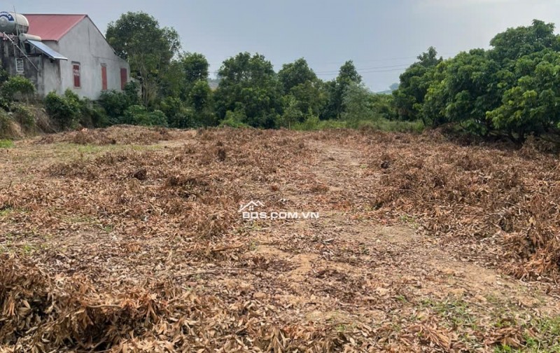 HÃY SỞ HƯU NGAY:CƠ HỘI ĐẦU TƯ SINH LỜI CAO ĐẤT THUỘC THỊ XÃ CHŨ- BẮC GIANG- SỞ HỮU FARM DÒNG TIỀN ỔN ĐỊNH