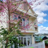Bán gấp nhà trung tâm Đà Lạt 130m2, 4 phòng ngủ, giá chỉ 3,6 tỷ – View thoáng 4 mặt, tiện ích vượt trội!