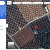 [BÁN ĐẤT NÔNG NGHIỆP XÃ AN LỤC LONG, CHÂU THÀNH, LONG AN - DIỆN TÍCH 2080M²]