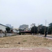 Duy nhất 1 lô 63m2 tdc Cây Đa, Ngô Quyền, Hải Phòng