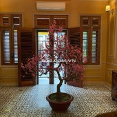 Chính chủ cho thuê mặt phố Ngõ Hàng Bún 80m2 x 6 tầng