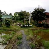BÁN ĐẤT - TÂN TRỤ, LONG AN 962M2 CHỈ NHỈNH 1 TỶ.