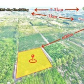 1000m đất sổ sẵn có vườn cây ăn trái liền kề tp HCM giá 700tr